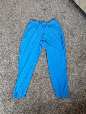 Lululemon Joggers Womens 10 Pool Party Blue Adapted State High-Rise retail $138